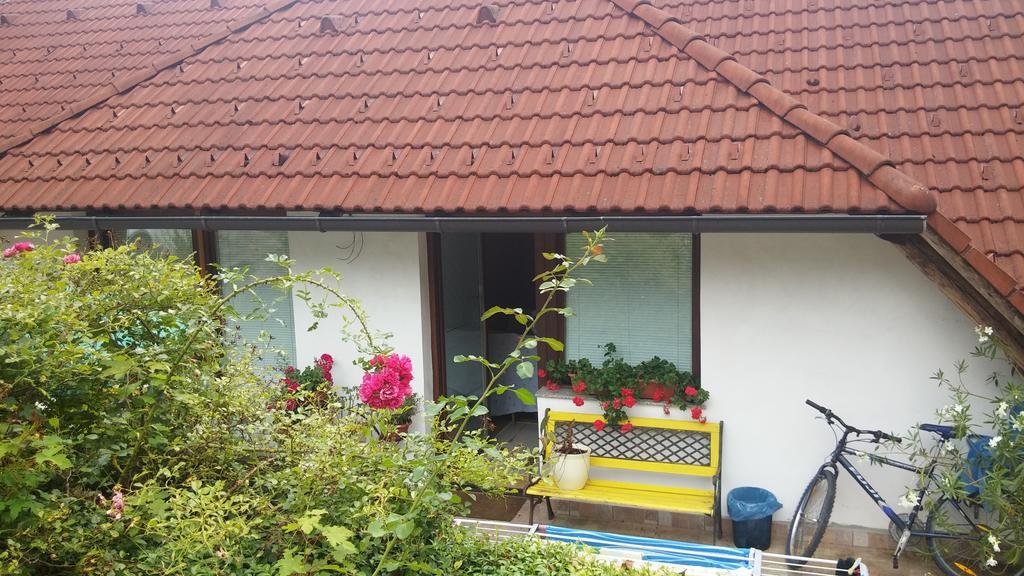 Darja Guesthouse Dob エクステリア 写真
