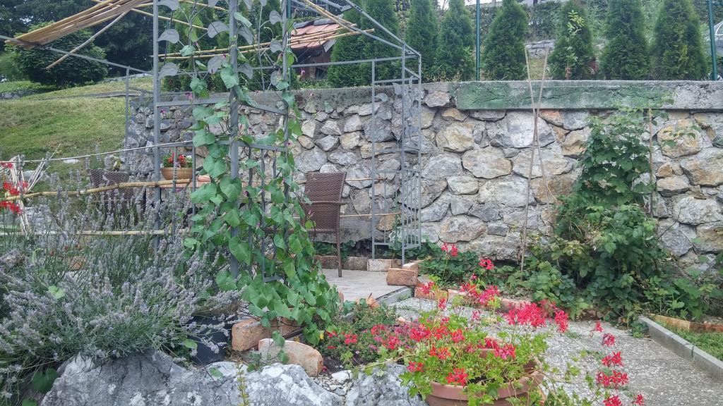 Darja Guesthouse Dob エクステリア 写真